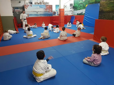 judo f1